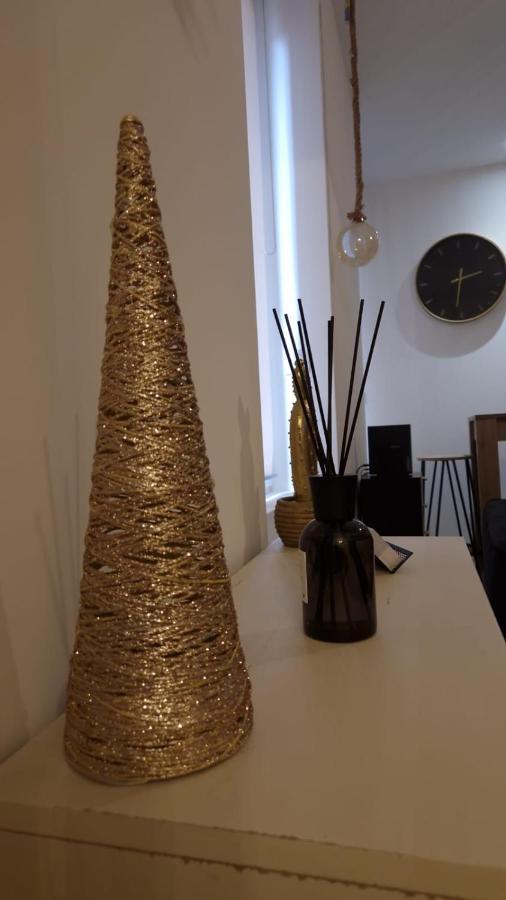 Appartement Cosy Centre Ville Roanne Eksteriør bilde