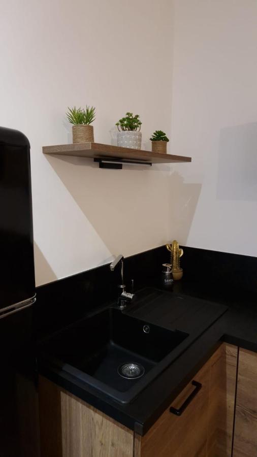 Appartement Cosy Centre Ville Roanne Eksteriør bilde